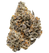 Hybrid